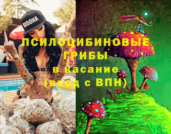 ECSTASY Алексин