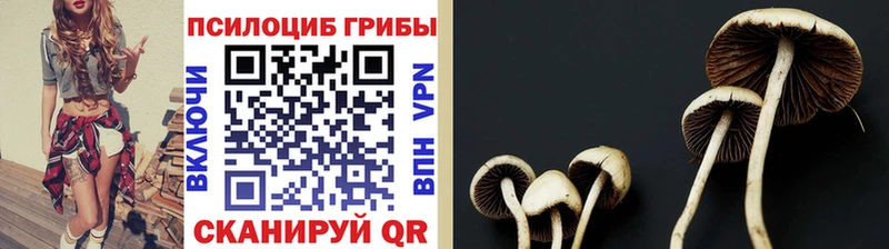 Псилоцибиновые грибы GOLDEN TEACHER  Крым 